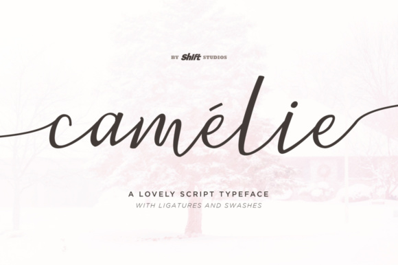 Camelie: The Premium Script Font for Polished Brand Identity