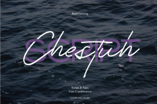 Chestuh Duo: The Perfect Font for Modern Web Design
