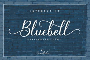 Why Bluebell Is the Perfect Script Font for Modern Web Design